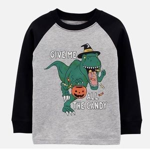 Boys Halloween T-Shirt Size 4T Dinosaur Candy Raglan Style